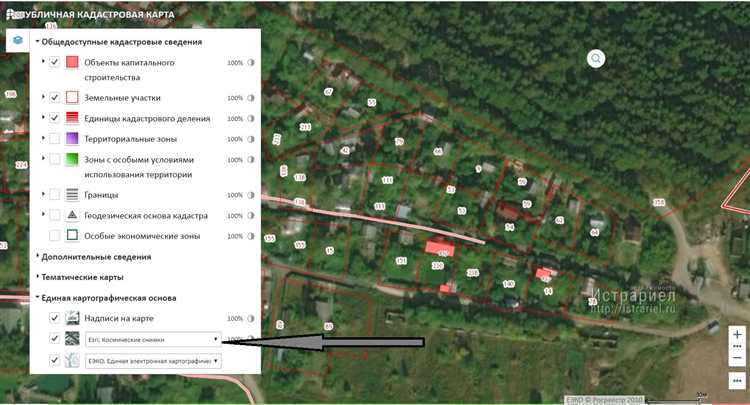 Что такое публичная кадастровая карта Что такое публичная кадастровая карта