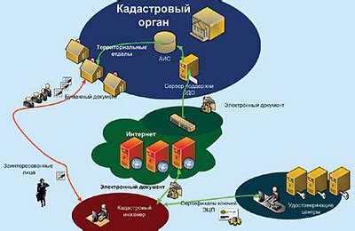 Что делать, если реестровый номер отсутствует в документах