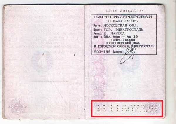 Какие элементы входят в состав регистрационного номера