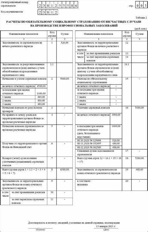 Что такое ске в форме 4 фсс Что такое ске в форме 4 фсс