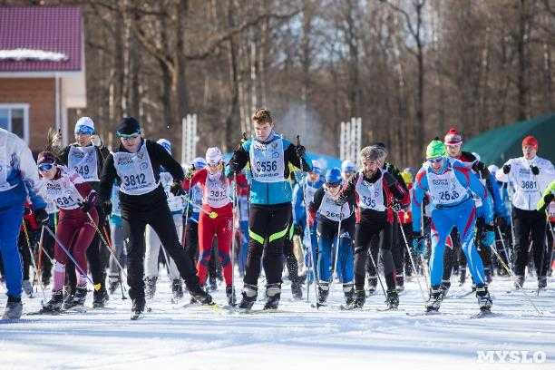 Критерии отбора участников и система квалификаций