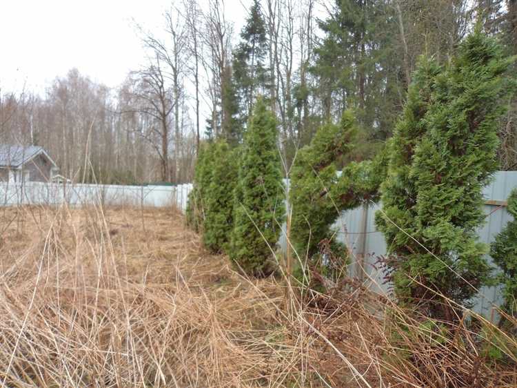 Какие объекты относятся к территориям общего пользования