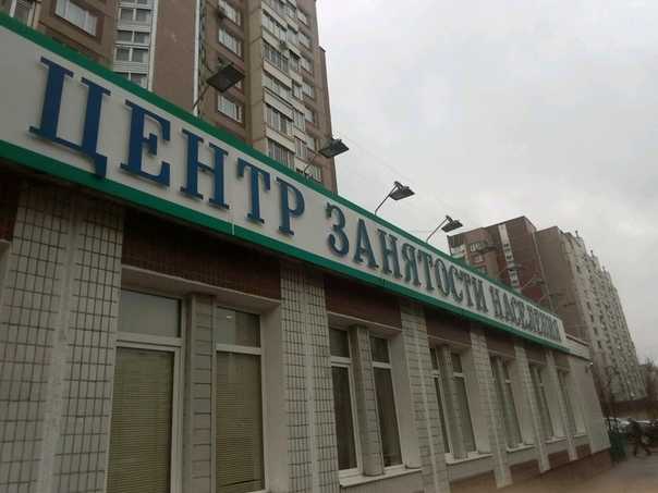 Выплата пособий и социальная поддержка безработных граждан