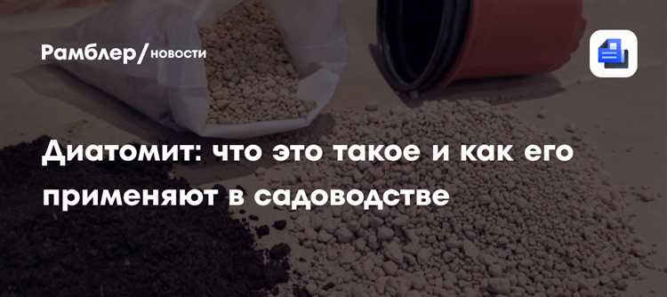Ответственность ТСН за соблюдение законности и безопасность