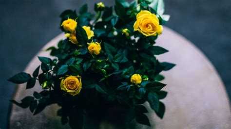 Права и обязанности членов ТСН: что важно знать