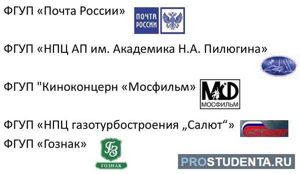 Какие риски и ограничения связаны с унитарным предприятием