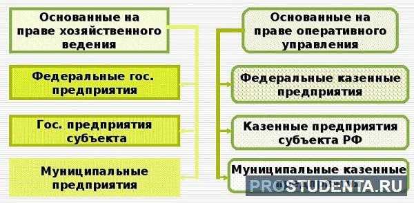 Что такое унитарное предприятие простыми словами