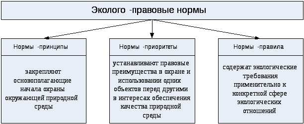 Практические механизмы охраны объектов экологического права