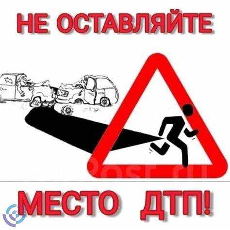 Обязанности водителя на месте аварии и порядок действий