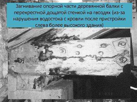 Влияние насекомых-древоточцев на целостность шпал