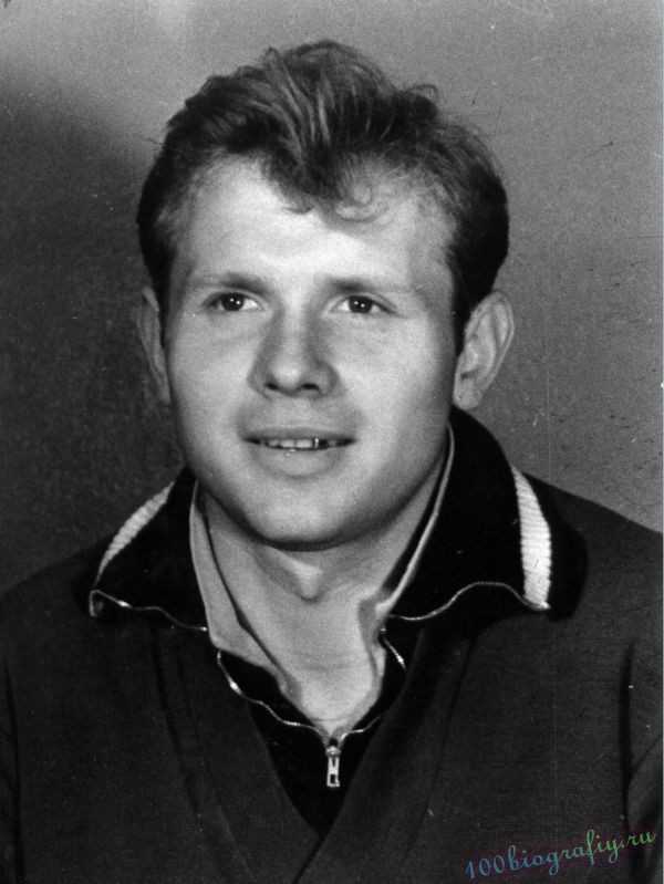 Какие версии и мнения о деле существуют сегодня