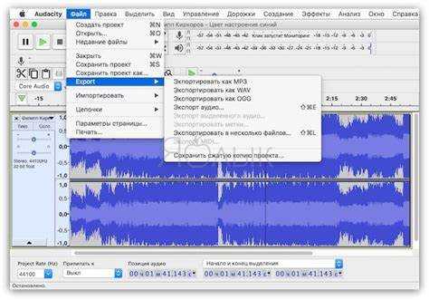 Когда и по чьей инициативе назначается фонетическая экспертиза