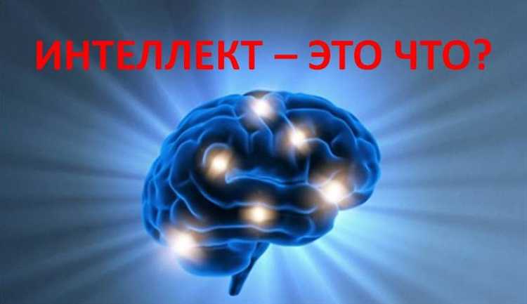 Как развивать и поддерживать уровень эрудиции и интеллекта