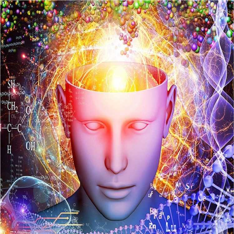 Влияние образования и самообучения на развитие эрудиции и интеллекта