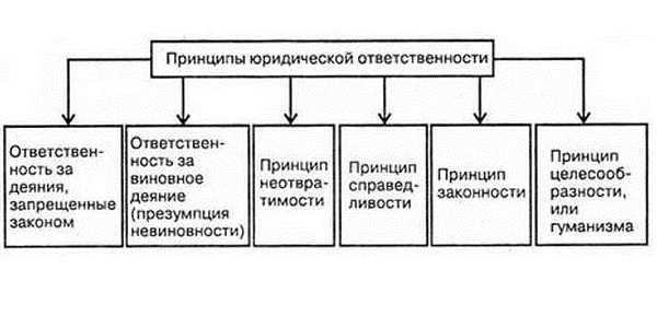 Роль штрафа в предупреждении правонарушений