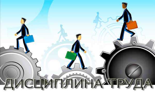 Как дисциплина труда влияет на взаимодействие с заказчиками
