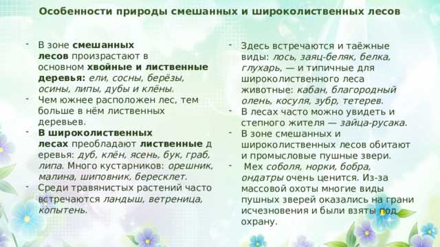 Типы почв и их роль в закреплении противоэрозионных лесов