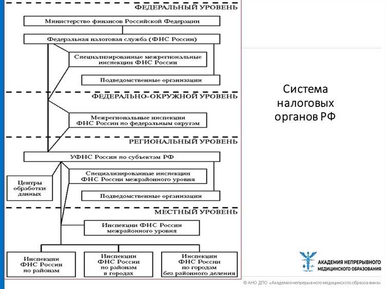 Надзор за уплатой страховых взносов и оформлением работников