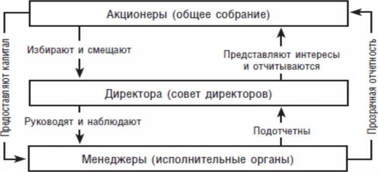 Как назначается директор в жилищном или жилищно-строительном кооперативе