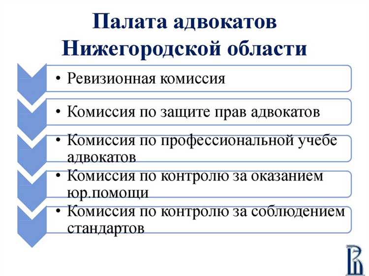 Как проходит наставничество студентов в рамках юридической консультации