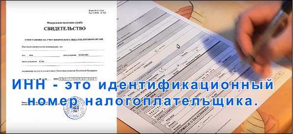 Как проверить ИНН организации по названию или ОГРН