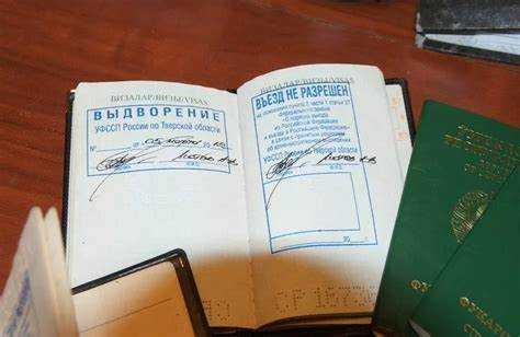 Что такое оптация и как она отличается от восстановления гражданства