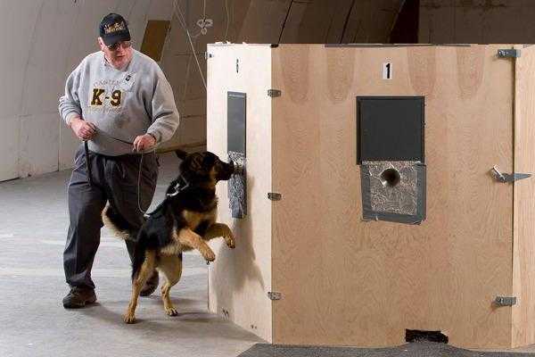 Отличия в оформлении протоколов обыска и выемки