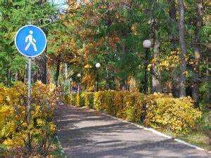 Нужно ли пешеходу уступать на дорожке без перехода