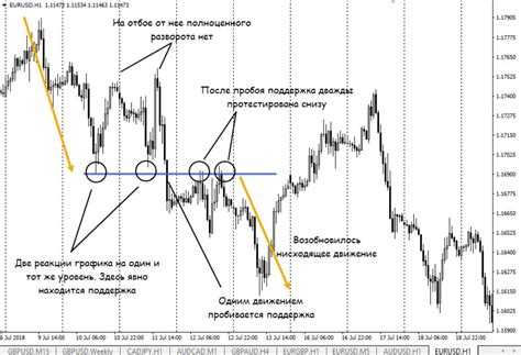 Документальное оформление результатов рейда и проверки