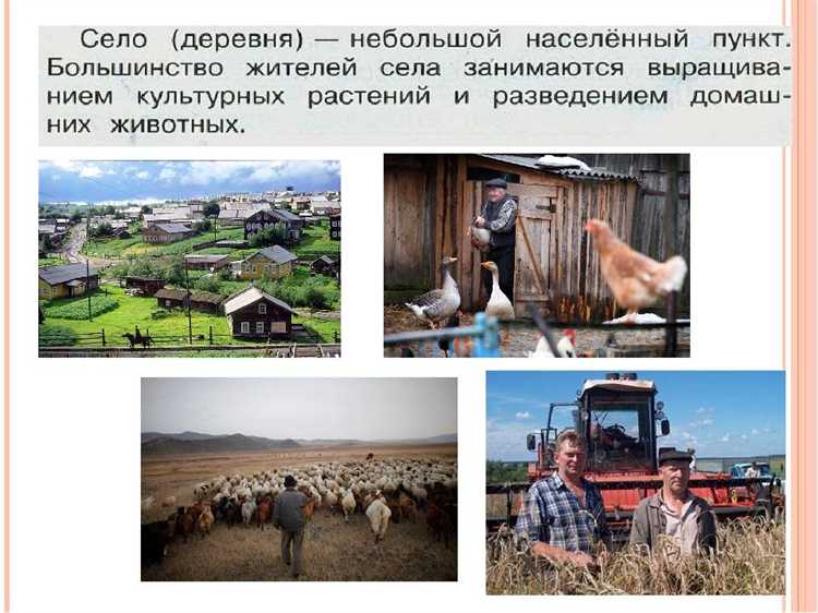 Роль станицы и села в развитии сельского хозяйства