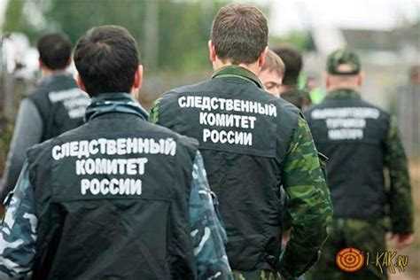 Сбор и анализ доказательственной базы