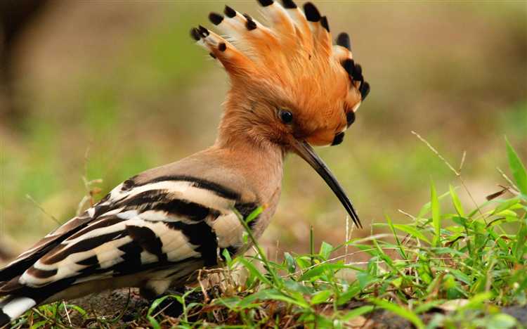 Через сколько можно подать на удо Через сколько можно подать на удо