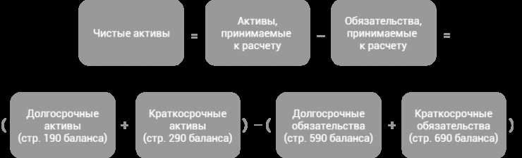 Чистые активы некоммерческой организации что это Чистые активы некоммерческой организации что это