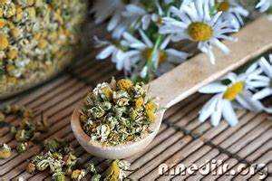 Юридическая ответственность за хранение наркотиков в России