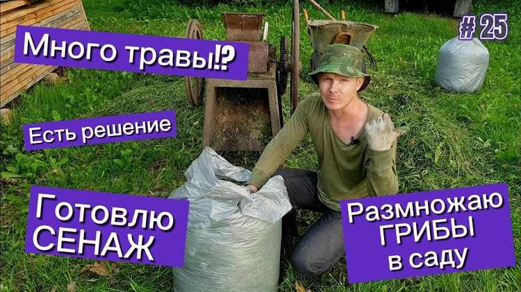 Что будет если найдут 1 грамм травы Что будет если найдут 1 грамм травы