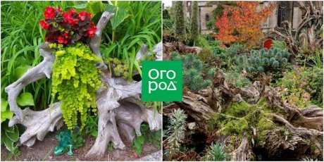 Кто и как проводит проверку по факту незаконной вырубки