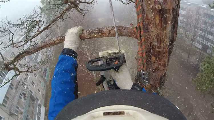 Размеры штрафов и порядок их начисления