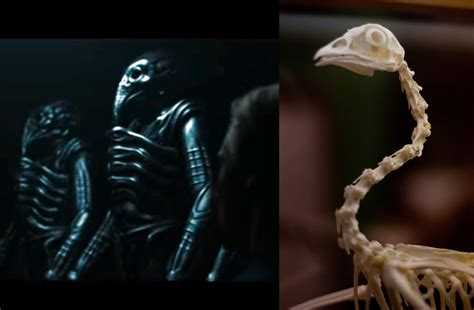 Ответственность за публикацию личных фото без разрешения