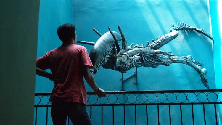 Порядок подачи жалобы на незаконную публикацию фото