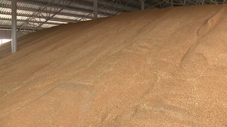 Как действовать при задержании с насваем: алгоритм защиты