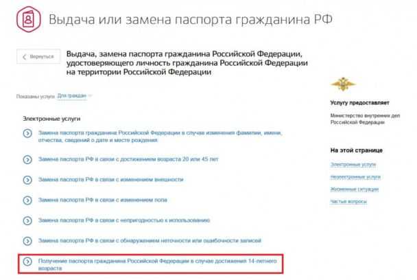 Паспорт как документ для регистрации в учебных заведениях