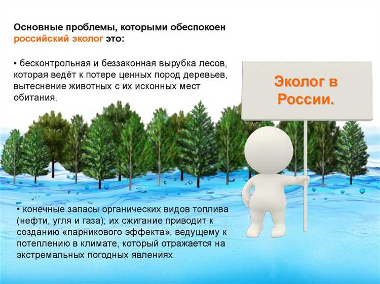 Разработка мероприятий по снижению загрязнений и отходов