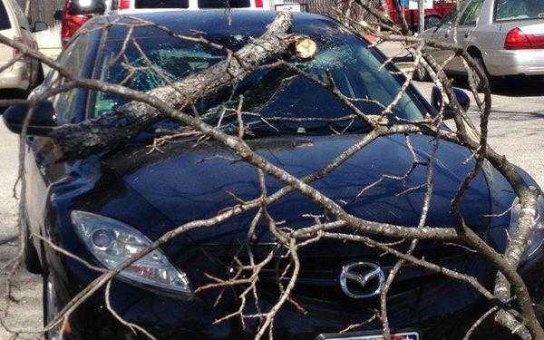 Куда обращаться при отказе страховой в возмещении ущерба