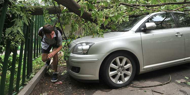 Варианты ремонта автомобиля после повреждения деревом