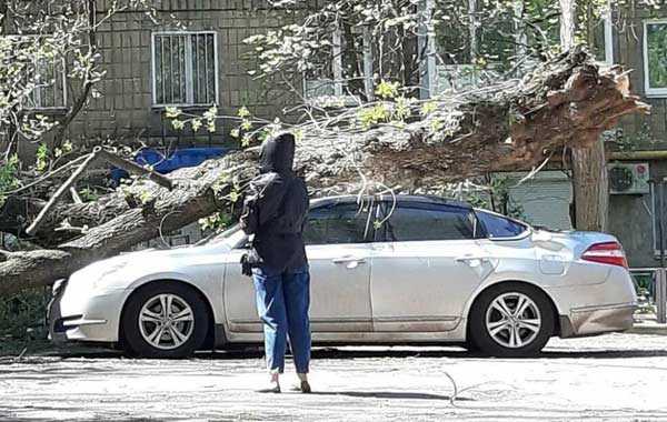 Алгоритм действий для обеспечения безопасности на месте происшествия