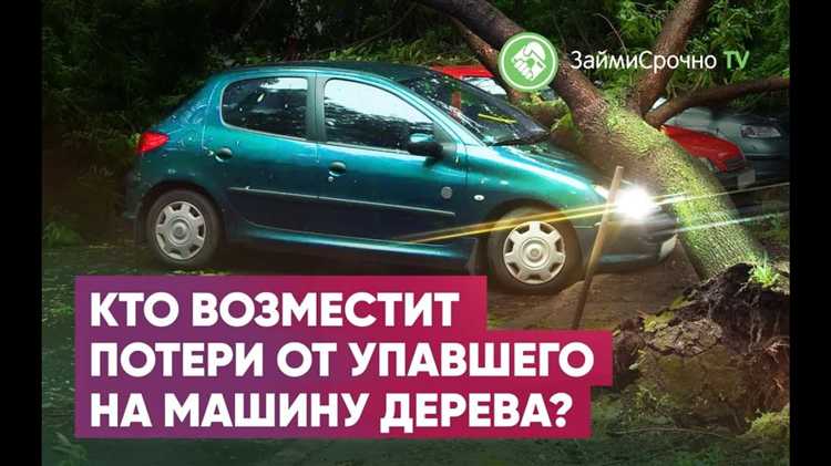 Что делать если на машину упало дерево