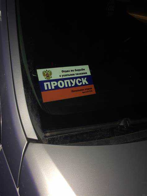 Что делать если потерял пропуск Что делать если потерял пропуск