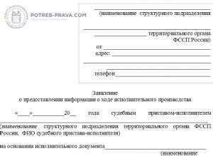 Практические советы по контролю за ходом исполнительного производства после жалоб