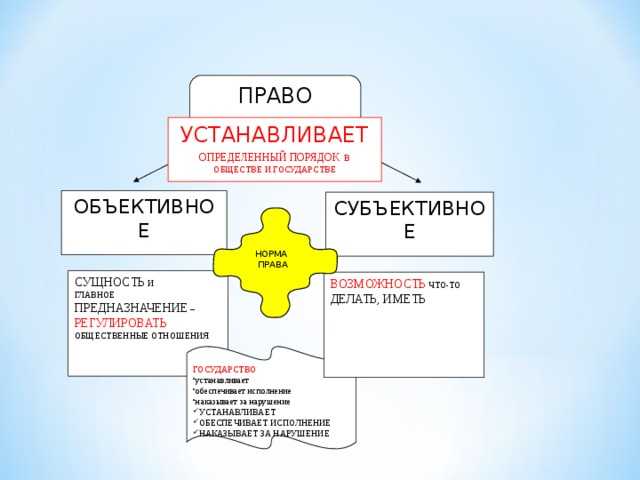 Роль прав человека в формировании механизмов социальной поддержки