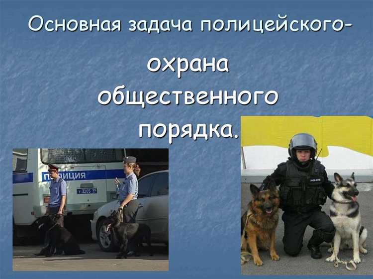 Перечень предметов индивидуальной защиты в вещмешке